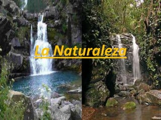La Naturaleza
 