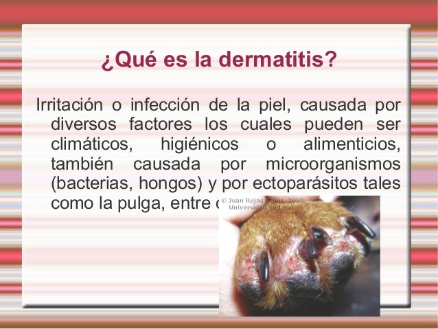 Vysypaniya a atopicheskom la dermatitis a los niños