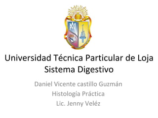 Universidad Técnica Particular de Loja
Sistema Digestivo
Daniel Vicente castillo Guzmán
Histología Práctica
Lic. Jenny Veléz
 