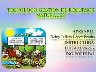 TECNOLOGO GESTION DE RECURSOS
NATURALES
APRENDIZ:
Deiny Julieth López Peralta
INSTRUCTORA:
LUISAALVAREZ
ING. FORESTAL
 
