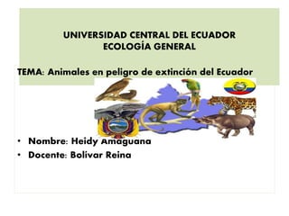 UNIVERSIDAD CENTRAL DEL ECUADOR
ECOLOGÍA GENERAL
TEMA: Animales en peligro de extinción del Ecuador
• Nombre: Heidy Amaguaña
• Docente: Bolívar Reina
 