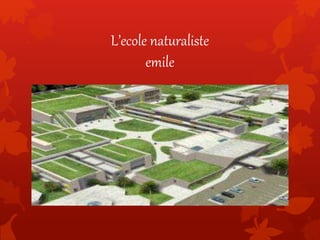 L’ecole naturaliste
emile
 
