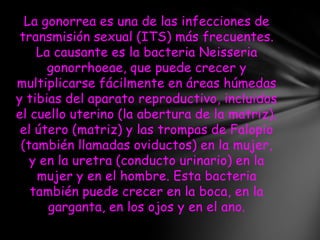 La gonorrea es una de las infecciones de
 transmisión sexual (ITS) más frecuentes.
    La causante es la bacteria Neisseria
      gonorrhoeae, que puede crecer y
multiplicarse fácilmente en áreas húmedas
y tibias del aparato reproductivo, incluidos
el cuello uterino (la abertura de la matriz),
 el útero (matriz) y las trompas de Falopio
 (también llamadas oviductos) en la mujer,
   y en la uretra (conducto urinario) en la
    mujer y en el hombre. Esta bacteria
   también puede crecer en la boca, en la
      garganta, en los ojos y en el ano.
 