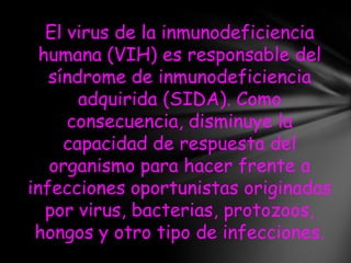 El virus de la inmunodeficiencia
  humana (VIH) es responsable del
   síndrome de inmunodeficiencia
       adquirida (SIDA). Como
      consecuencia, disminuye la
     capacidad de respuesta del
   organismo para hacer frente a
infecciones oportunistas originadas
   por virus, bacterias, protozoos,
 hongos y otro tipo de infecciones.
 