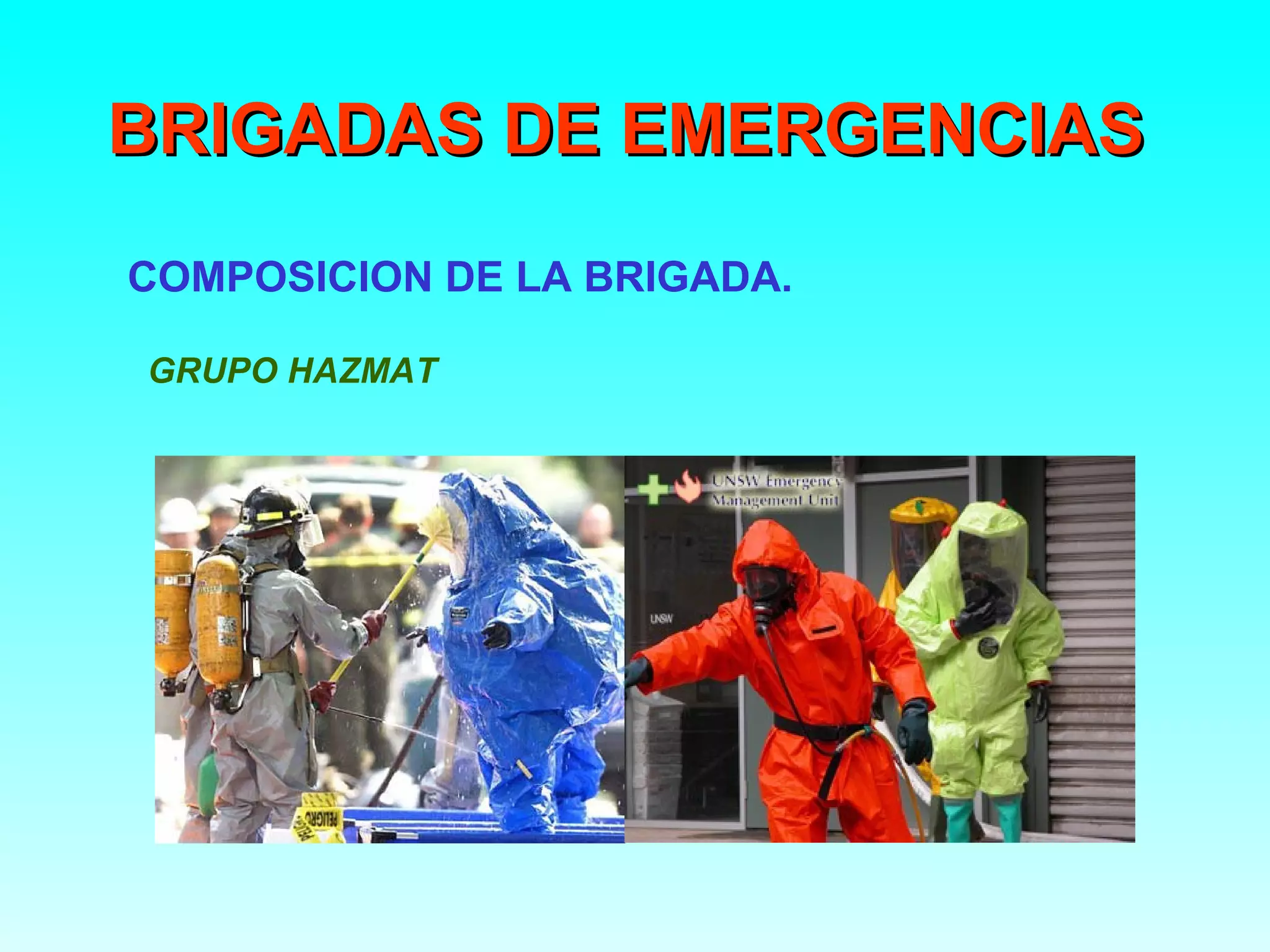 BRIGADAS DE EMERGENCIAS
COMPOSICION DE LA BRIGADA.

GRUPO HAZMAT
 