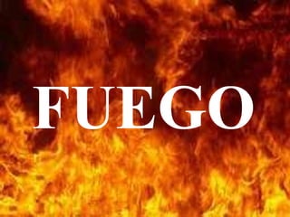 FUEGO
 