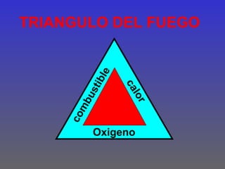 TRIANGULO DEL FUEGO



            ble

                   ca
              ti
           us


                     lor
        mb
     co




            Oxigeno
 