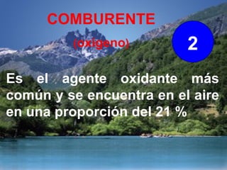 COMBURENTE
         (oxigeno)        2
Es el agente oxidante más
común y se encuentra en el aire
en una proporción del 21 %
 