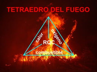 TETRAEDRO DEL FUEGO




               ox
           r

                  ige
         lo
      ca
           RQC

                      no
       combustible
 