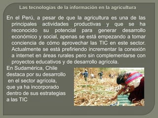 Las tecnologías de la información en la agriculturaEn el Perú, a pesar de que la agricultura es una de las principales actividades productivas y que se ha reconocido su potencial para generar desarrollo económico y social, apenas se está empezando a tomar conciencia de cómo aprovechar las TIC en este sector. Actualmente se está prefiriendo incrementar la conexión a internet en áreas rurales pero sin complementarse con proyectos educativos y de desarrollo agrícola.En Sudamérica, Chiledestaca por su desarrollo en el sector agrícola, que ya ha incorporado dentro de sus estrategias a las TIC