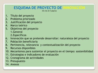ESQUEMA DE PROYECTO DE INNOVACIÒN
                               (No más de 5 páginas)


1.    Título del proyecto
2.    Problema priorizado
3.    Justificación del proyecto
4.    Marco teórico
5.    Objetivos del proyecto
      1.General
      2.Específicos
6.    Innovación que se pretende desarrollar: naturaleza del proyecto
7.    Población beneficiaria
8.    Pertinencia, relevancia y contextualización del proyecto
9.    Recursos disponibles
10.   Mecanismos para sustentar el proyecto en el tiempo: sostenibilidad
11.   Estrategias e indicadores de evaluación
12.   Cronograma de actividades
13.   Presupuesto
14.   Anexos
 