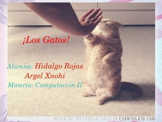 ¡Los Gatos!
Alumna: Hidalgo Rojas 
Argel Xnohi
Materia: Computación II
 