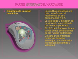  Diagrama de un ratón
mecánico:
1. Los rodillos adosados a la
bola, transforman el
movimiento en sus
componentes X e Y.
2. La velocidad y dirección del
movimiento, es codificada
por la rueda perforada.
3. El LED de infrarrojos, luce a
través de las perforaciones
de las ruedas perforadas.
4. Un sensor de infrarrojos
recibe los destellos
infrarrojos, y el ordenador
los traduce en sentido y
velocidad.
 