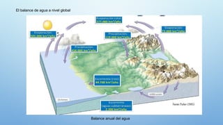 El balance de agua a nivel global
Balance anual del agua
 