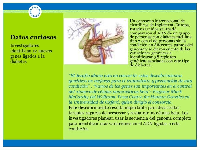 Diabetes Mellitus 2 Diabetes Mellitus 2
