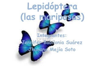 Lepidóptera
(las mariposas)
      Integrantes:
Jennifer Babilonia Suárez
  Jhuliana Mejía Soto
 