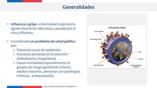 Generalidades
• Influenza o gripe: enfermedad respiratoria
aguda altamente infecciosa, causada por el
virus influenza.
• Considerada un problema de salud pública
por:
o Potencial causa de epidemias
o Aumento demanda en la atención
ambulatoria y hospitalaria
o Causa mortalidad especialmente en
grupos de riesgo (población infantil,
adultos mayores, personas con patologías
crónicas, embarazadas).
https://cdc.gov/enes/flu/about/viruses/types.htm
 
