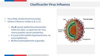 Clasificación Virus influenza
• Virus RNA, familia Ortomixoviridae.
• Género influenza viridae A, B, C y D .
o A y B causan epidemias estacionales
todos los años. La aparicion de virus
nuevo pueden causar pandemias.
o C causa enfermedad respiratoria leve, no
causa epidemias.
o D afecta principalmente al ganado.
https://cdc.gov/enes/flu/about/viruses/types.htm
 