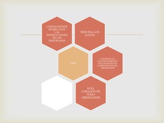 PROCESA LOS
DATOS
UNIDAD DONDE
SE EJECUTAN
LAS
INSTRUCCIONES
DE LOS
PROGRAMAS
CPU
CONTROLA EL
FUNCIONAMIENTO
DE LOS DISTINTOS
COMPONENTES DEL
ORDENADOR
ES EL
CORAZON DE
TODO
ORDENADOR
ES EL
CORAZN DE
TODO
ORDENADOR
 