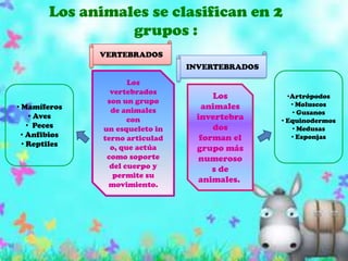 Los animales se clasifican en 2 grupos :VERTEBRADOSINVERTEBRADOSLos vertebrados son un grupo de animales con un esqueleto interno articulado, que actúa como soporte del cuerpo y permite su movimiento.Artrópodos