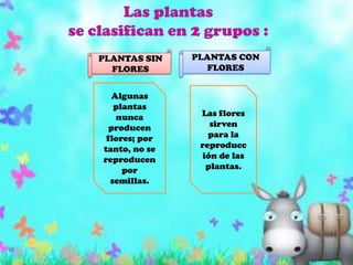  EsponjasLos animales invertebrados forman el grupo más numerosos de animales.  Mamíferos