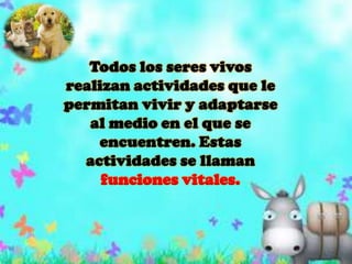 Todos los seres vivos realizan actividades que le permitan vivir y adaptarse al medio en el que se encuentren. Estas actividades se llaman funciones vitales.