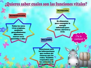 ¿Quieres saber cuales son las funciones vitales?NUTRICIÓNREPRODUCCIÓNSe alimentan para conseguir la energía suficiente para crecer, moverse y vivir.Todos los seres vivos originan, mediante procedimientos diferentes, nuevos seres parecidos a ellos.¡Te lo contare!RELACIÓNReaccionan ante las informaciones que reciben del entorno que les rodea. También responden ante los estímulos de otros seres vivos.