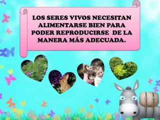 LOS SERES VIVOS NECESITAN ALIMENTARSE BIEN PARA PODER REPRODUCIRSE  DE LA MANERA MÁS ADECUADA.