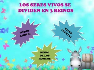 Los seres vivos se Dividen en 3 reinosREINO ANIMALREINO VEGETALREINO DE LOS HONGOS