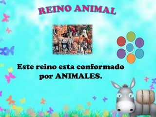 REINO ANIMALEste reino esta conformado por ANIMALES.