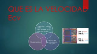 QUE ES LA VELOCIDAD
Ecv
Transmite datos
entre el
procesador y los
componentes .
Simula dos
procesadores
en uno.
Doble nucleo.
 