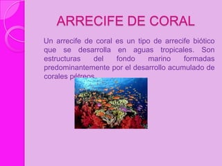 ARRECIFE DE CORAL
Un arrecife de coral es un tipo de arrecife biótico
que se desarrolla en aguas tropicales. Son
estructuras    del   fondo    marino     formadas
predominantemente por el desarrollo acumulado de
corales pétreos.
 