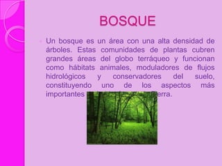BOSQUE
   Un bosque es un área con una alta densidad de
    árboles. Estas comunidades de plantas cubren
    grandes áreas del globo terráqueo y funcionan
    como hábitats animales, moduladores de flujos
    hidrológicos   y     conservadores       del suelo,
    constituyendo uno de los aspectos más
    importantes de la biosfera de la Tierra.
 