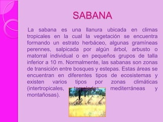 SABANA
 La sabana es una llanura ubicada en climas
tropicales en la cual la vegetación se encuentra
formando un estrato herbáceo, algunas gramíneas
perennes, salpicada por algún árbol, arbusto o
matorral individual o en pequeños grupos de talla
inferior a 10 m. Normalmente, las sabanas son zonas
de transición entre bosques y estepas. Estas áreas se
encuentran en diferentes tipos de ecosistemas y
existen     varios   tipos  por   zonas    climáticas
(intertropicales,   templadas,    mediterráneas     y
montañosas).
 