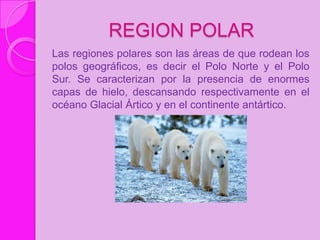REGION POLAR
Las regiones polares son las áreas de que rodean los
polos geográficos, es decir el Polo Norte y el Polo
Sur. Se caracterizan por la presencia de enormes
capas de hielo, descansando respectivamente en el
océano Glacial Ártico y en el continente antártico.
 