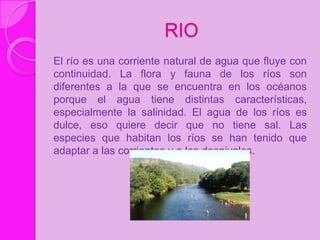 RIO
El río es una corriente natural de agua que fluye con
continuidad. La flora y fauna de los ríos son
diferentes a la que se encuentra en los océanos
porque el agua tiene distintas características,
especialmente la salinidad. El agua de los ríos es
dulce, eso quiere decir que no tiene sal. Las
especies que habitan los ríos se han tenido que
adaptar a las corrientes y a los desniveles.
 