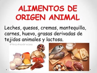 Leches, quesos, cremas, mantequilla,
carnes, huevo, grasas derivadas de
tejidos animales y lactosa.
 