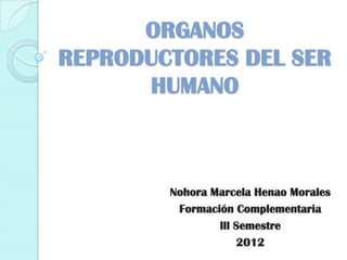 ORGANOS
REPRODUCTORES DEL SER
      HUMANO



        Nohora Marcela Henao Morales
         Formación Complementaria
                lll Semestre
                    2012
 