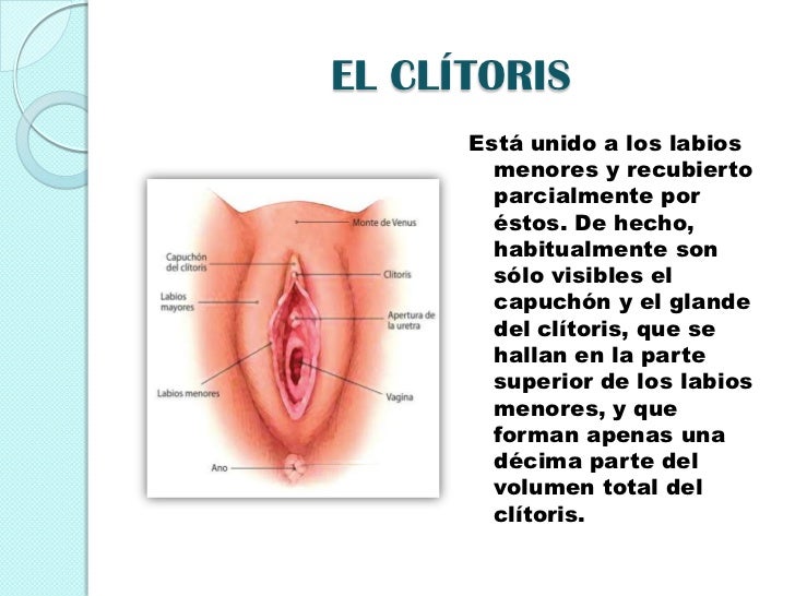 Una pequeña hija chupa el miembro del padre