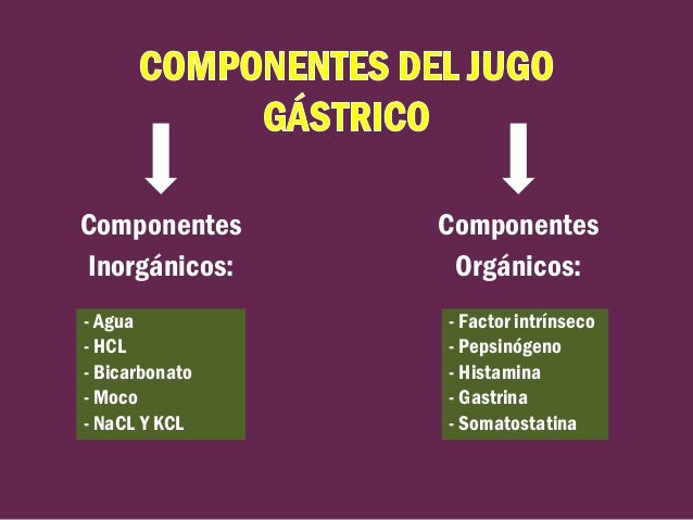 JUGO GÁSTRICO E HIPO