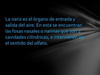 La nariz es el órgano de entrada y
salida del aire. En esta se encuentran
las fosas nasales o narinas que son 2
cavidades cilíndricas, e intervienen en
el sentido del olfato.
 