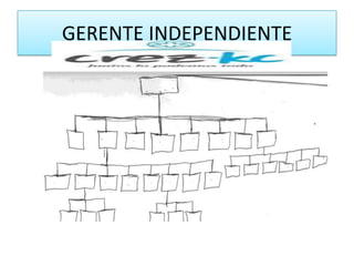 GERENTE INDEPENDIENTE
 