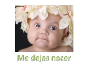 Diapositivas del aborto