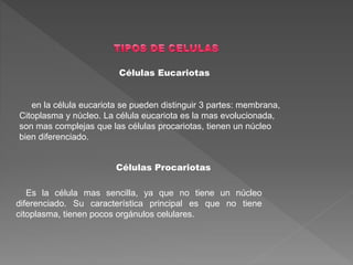 Células Eucariotas
en la célula eucariota se pueden distinguir 3 partes: membrana,
Citoplasma y núcleo. La célula eucariota es la mas evolucionada,
son mas complejas que las células procariotas, tienen un núcleo
bien diferenciado.
Células Procariotas
Es la célula mas sencilla, ya que no tiene un núcleo
diferenciado. Su característica principal es que no tiene
citoplasma, tienen pocos orgánulos celulares.
 
