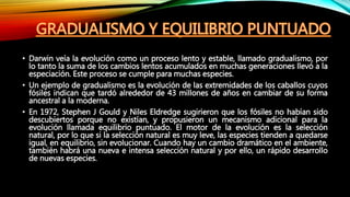 Gradualidad Diapositivas de la evolucion | PPTX