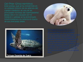 Diapositivas de la extincion de animales