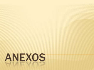anexos