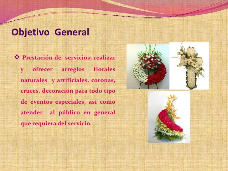 Diapositivas de la floristeria (nuevo)
