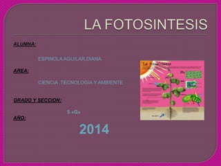 ALUMNA:
ESPINOLA AGUILAR,DIANA
AREA:
CIENCIA ,TECNOLOGIA Y AMBIENTE
GRADO Y SECCION:
5 «G»
AÑO:
2014
 