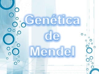 Genética   de  Mendel 